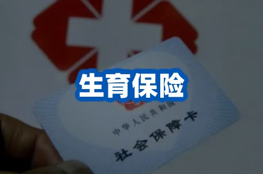 生育保险案例