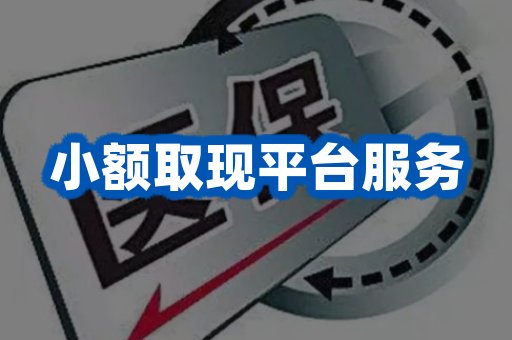 小额取现平台服务