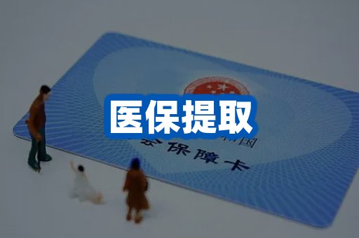 医保提取案例